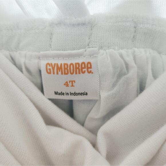 4T Gymboree Dress - Picture 4 of 4